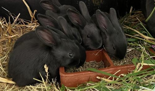 eb669df4-a2ad-457b-b65b-7b6b87ab0897