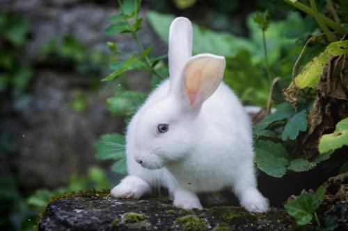 058f9f7c-b064-49be-bc18-cb4cc9f92110