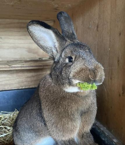 0a78a1e9-5def-428f-827e-92a962725c22