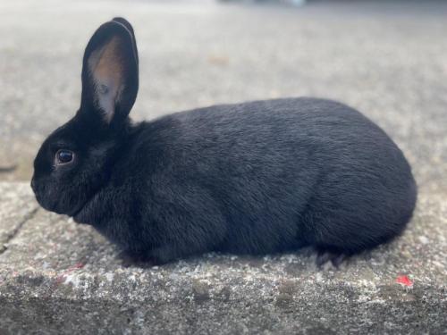 Bilder-vom-iPhon-am-6.-Maerz-2022-043