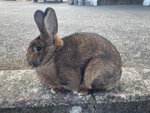 Bilder-vom-iPhon-am-6.-Maerz-2022-050