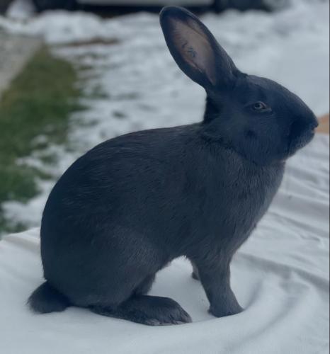 c9996a9c-8935-4f61-afbc-72014d71b197