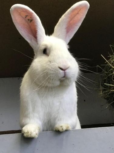 f0ed7b88-9e1b-4670-883a-af6ebc6c73fc